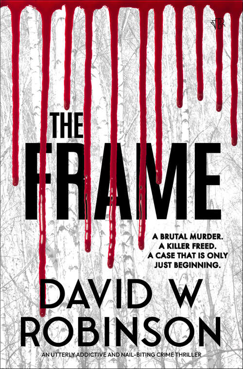 Book cover of The Frame (Feyer and Drake)