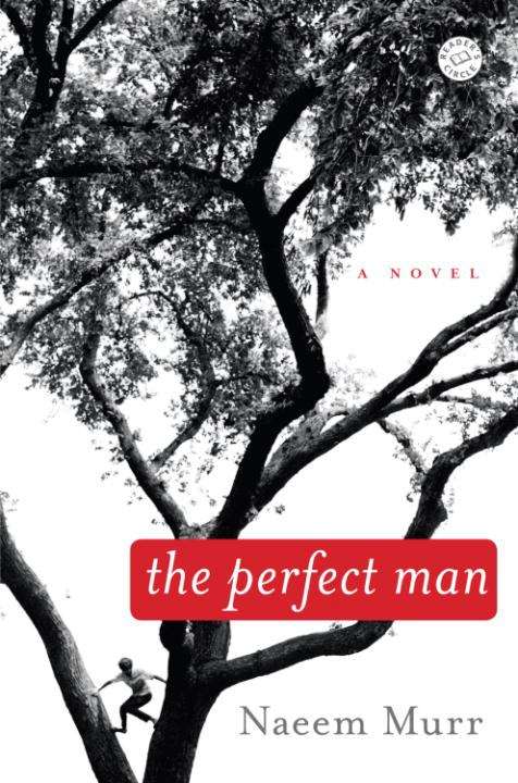 Book cover of The Perfect Man