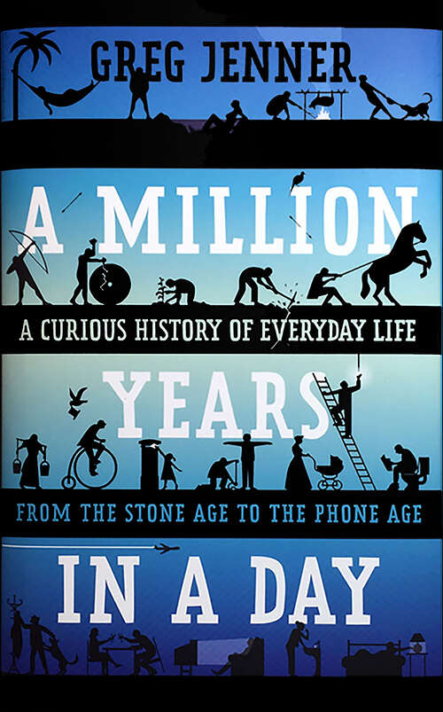 Book cover of A Million Years in a Day: A Curious History of Everyday Life from the Stone Age to the Phone Age