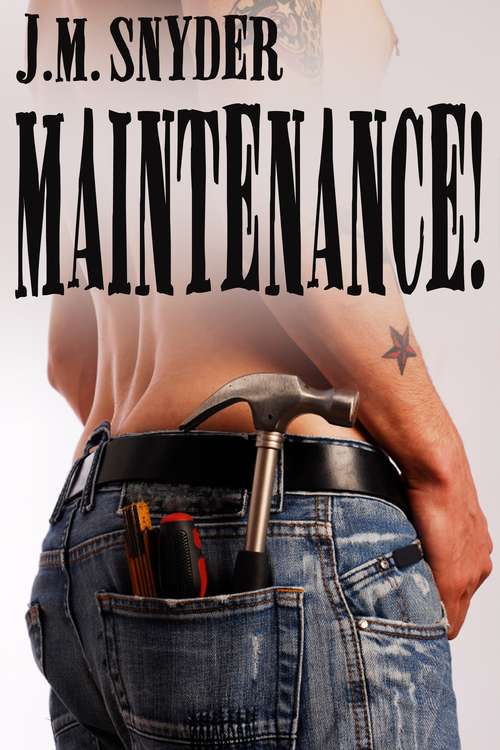 Book cover of Maintenance!